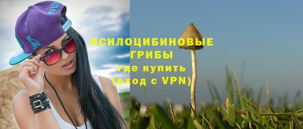 2c-b Лиски