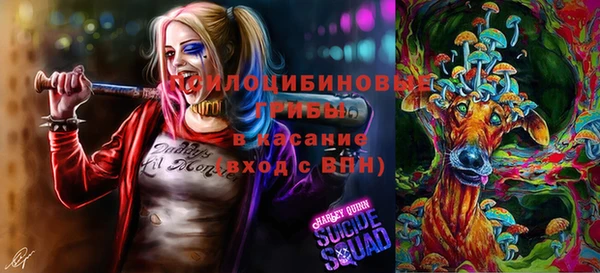 2c-b Лиски